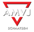 AMVJ Schaatsen